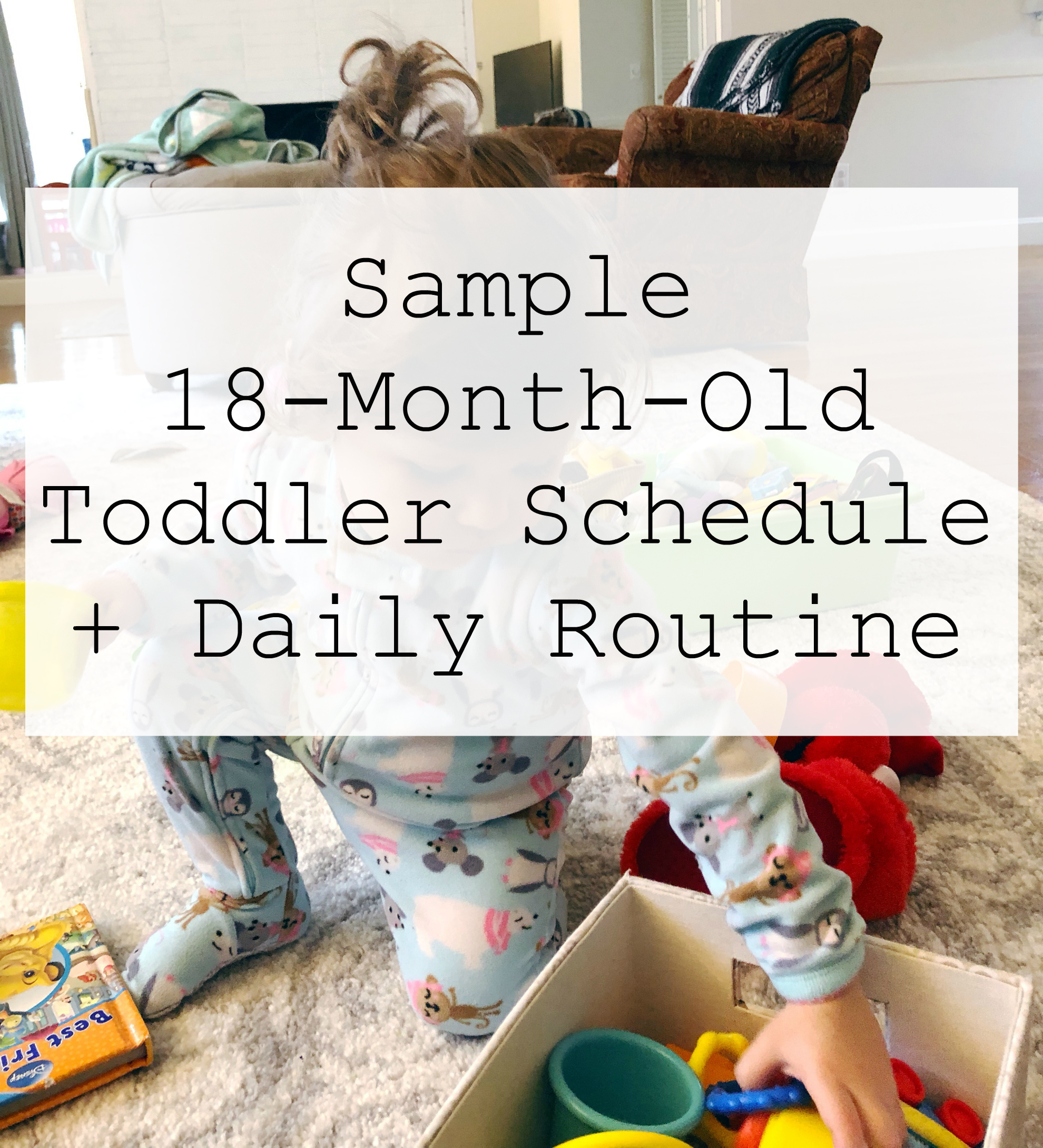 Sample Daily Routine (18 Month Old Toddler Schedule)