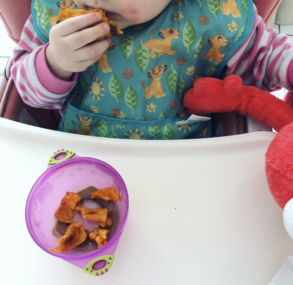 Feeding a Plant-Based Toddler