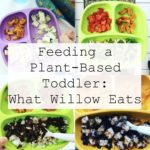 Feeding a Plant-Based Toddler: What Willow Eats