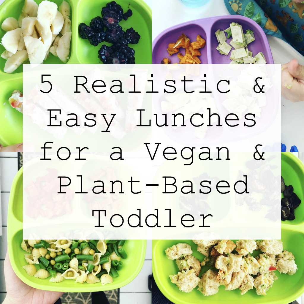 5 Realistic + Easy Lunches for a Vegan/Plant-Based Toddler