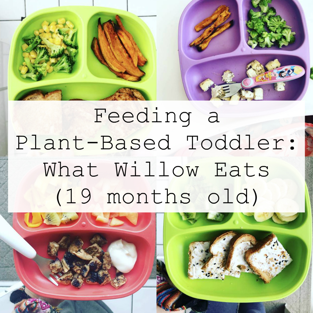 Feeding a Plant-Based Toddler - 19 month old