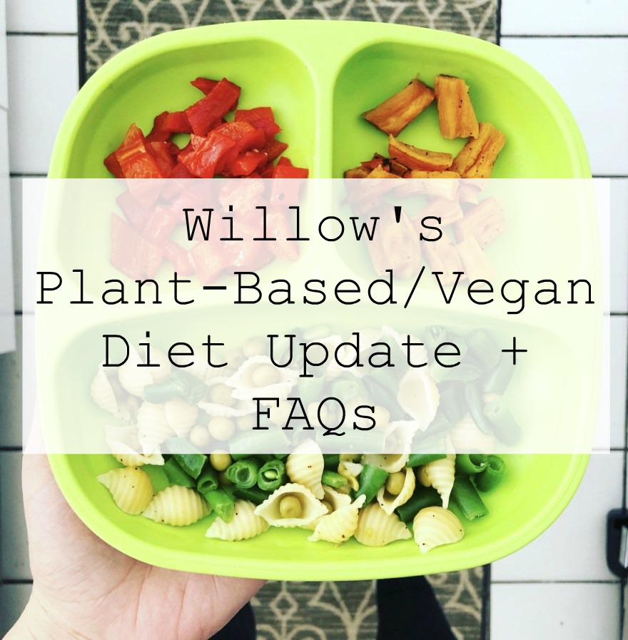 Willow's Plant-Based/Vegan Diet Update + FAQs