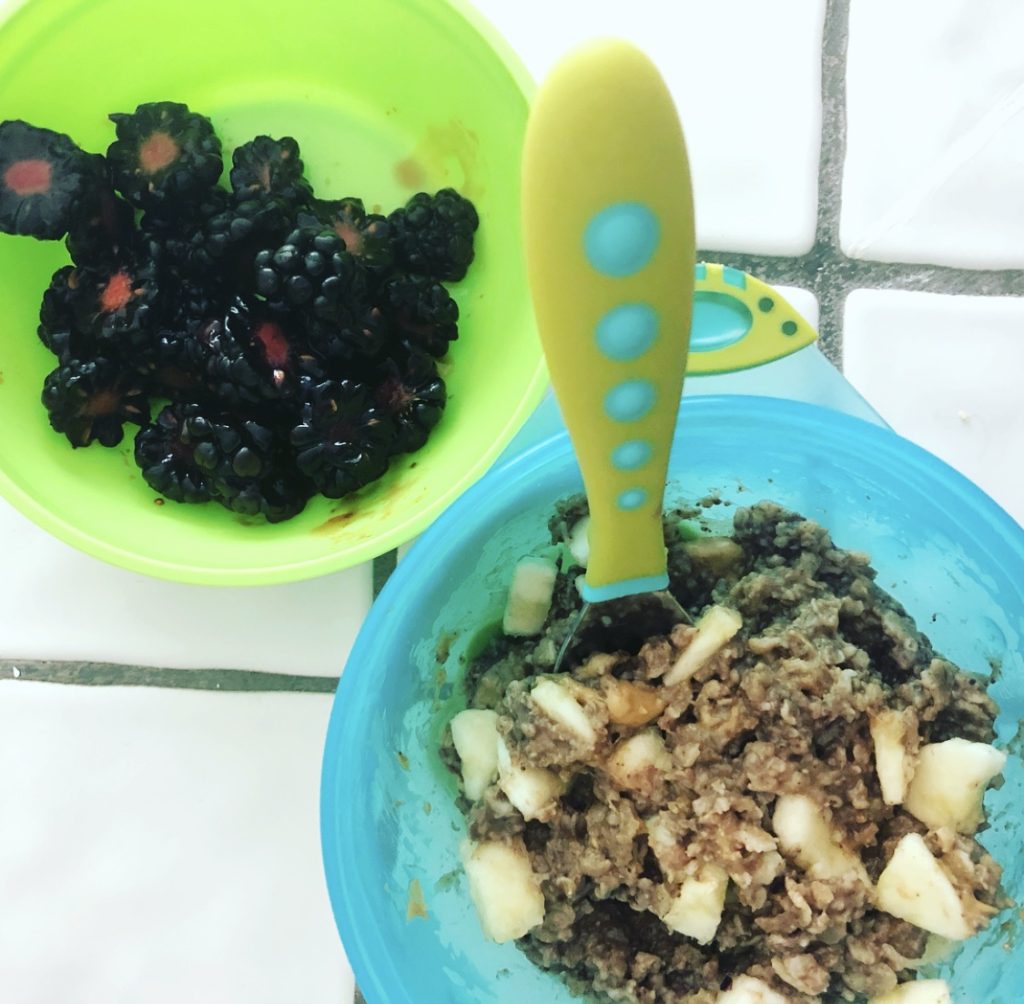 Feeding a Plant-Based Toddler