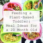 Feeding a Plant-Based Toddler: What Willow Eats