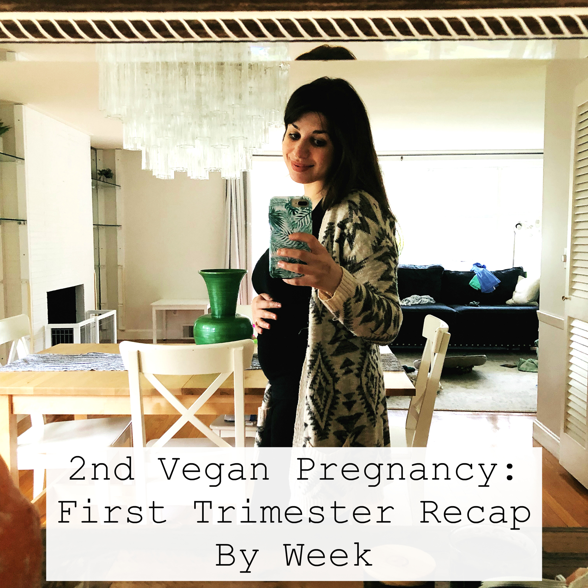 Vegan Pregnancy First Trimester Recap