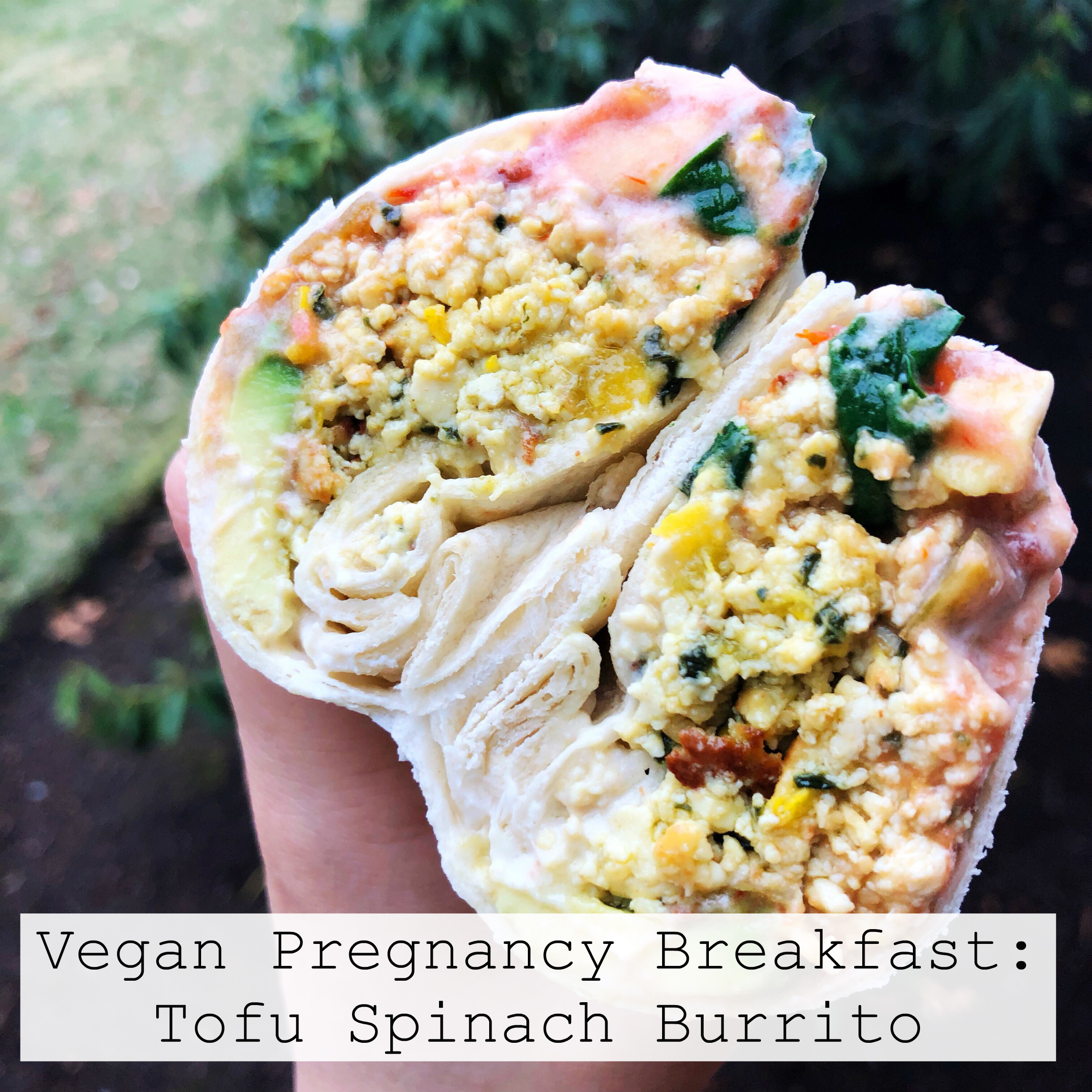 Vegan Pregnancy Breakfast: Tofu Spinach Burrito