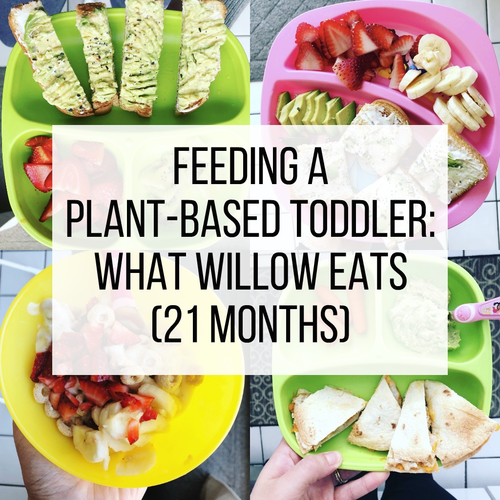 Feeding a Plant-Based Toddler: What Willow Eats