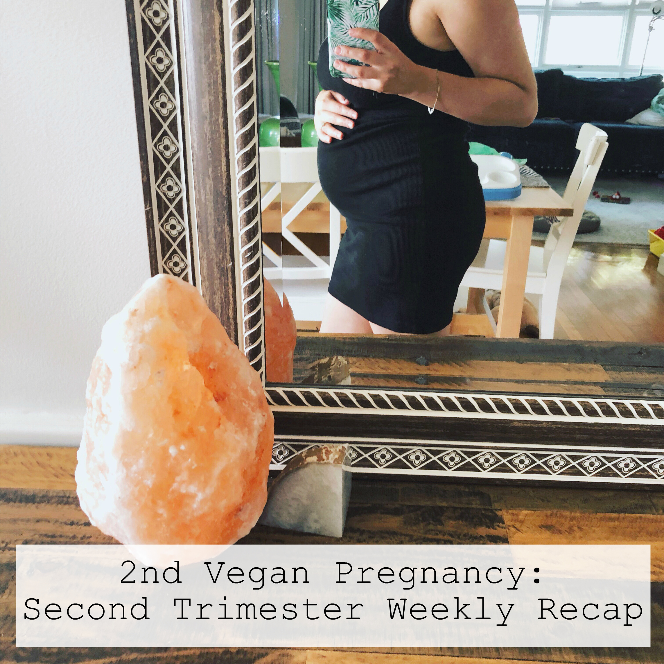 Second Vegan Pregnancy Second Trimester Recap