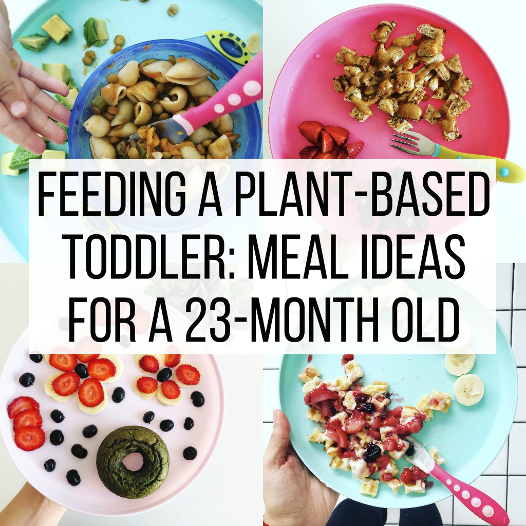 Feeding a Plant-Based Toddler: Meal Ideas for a 23-Month Old