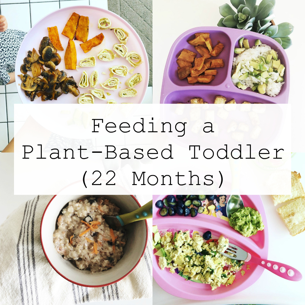 Feeding a Plant-Based Toddler at 22 Months