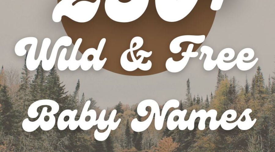 250+ Wild & Adventurous Baby Names (Free-Spirited & Fun)