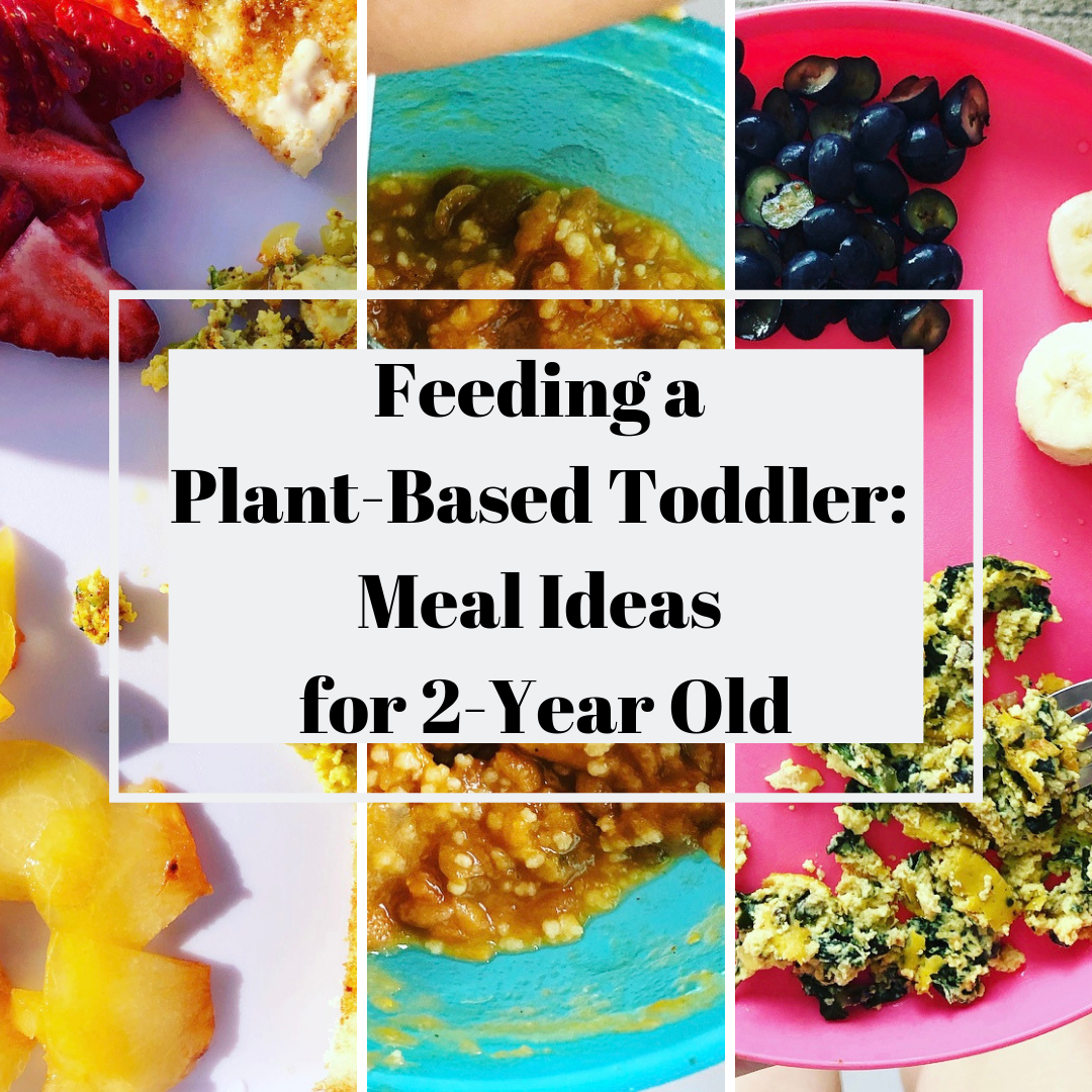 Feeding a Plant-Based Toddler