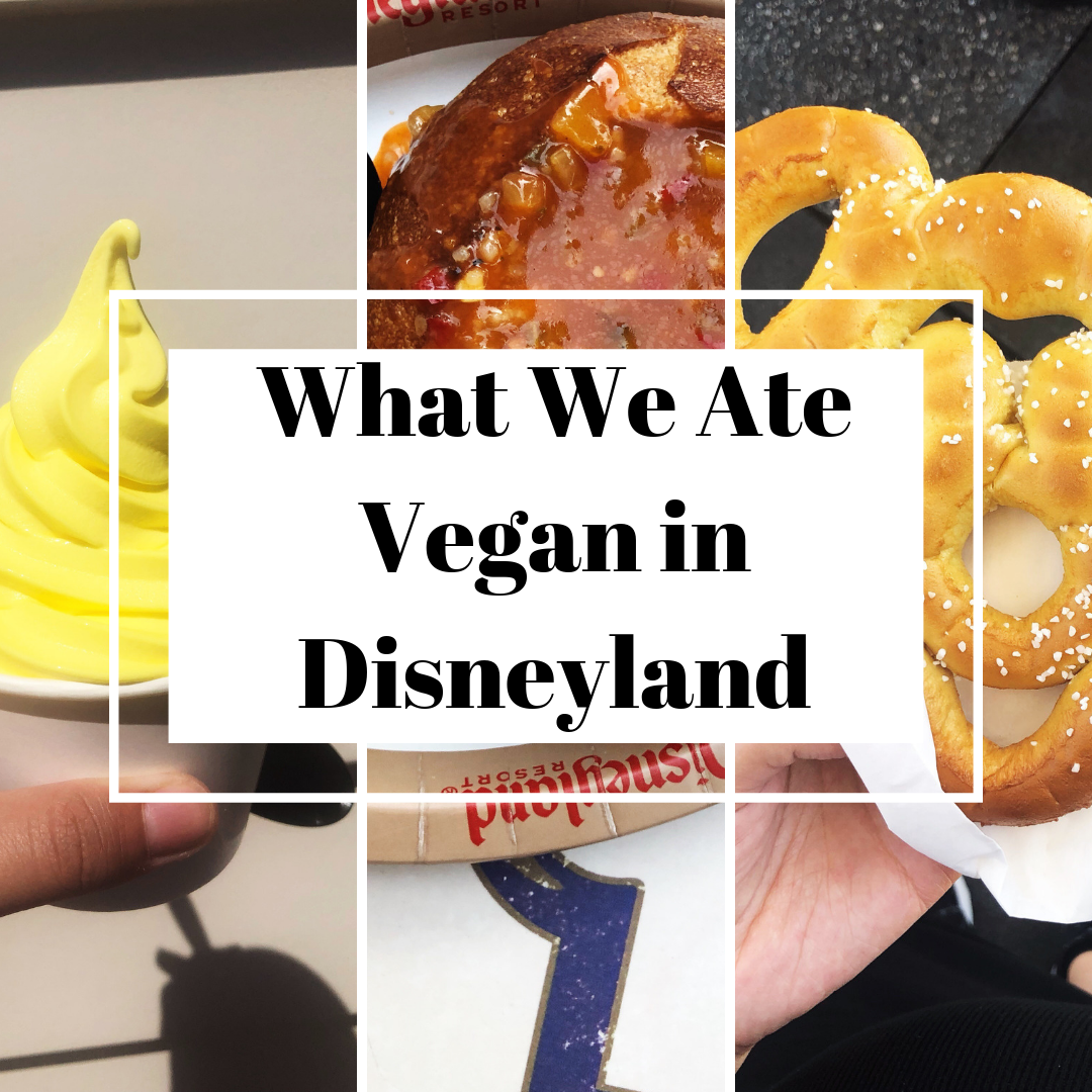 What We Ate Vegan in Disneyland