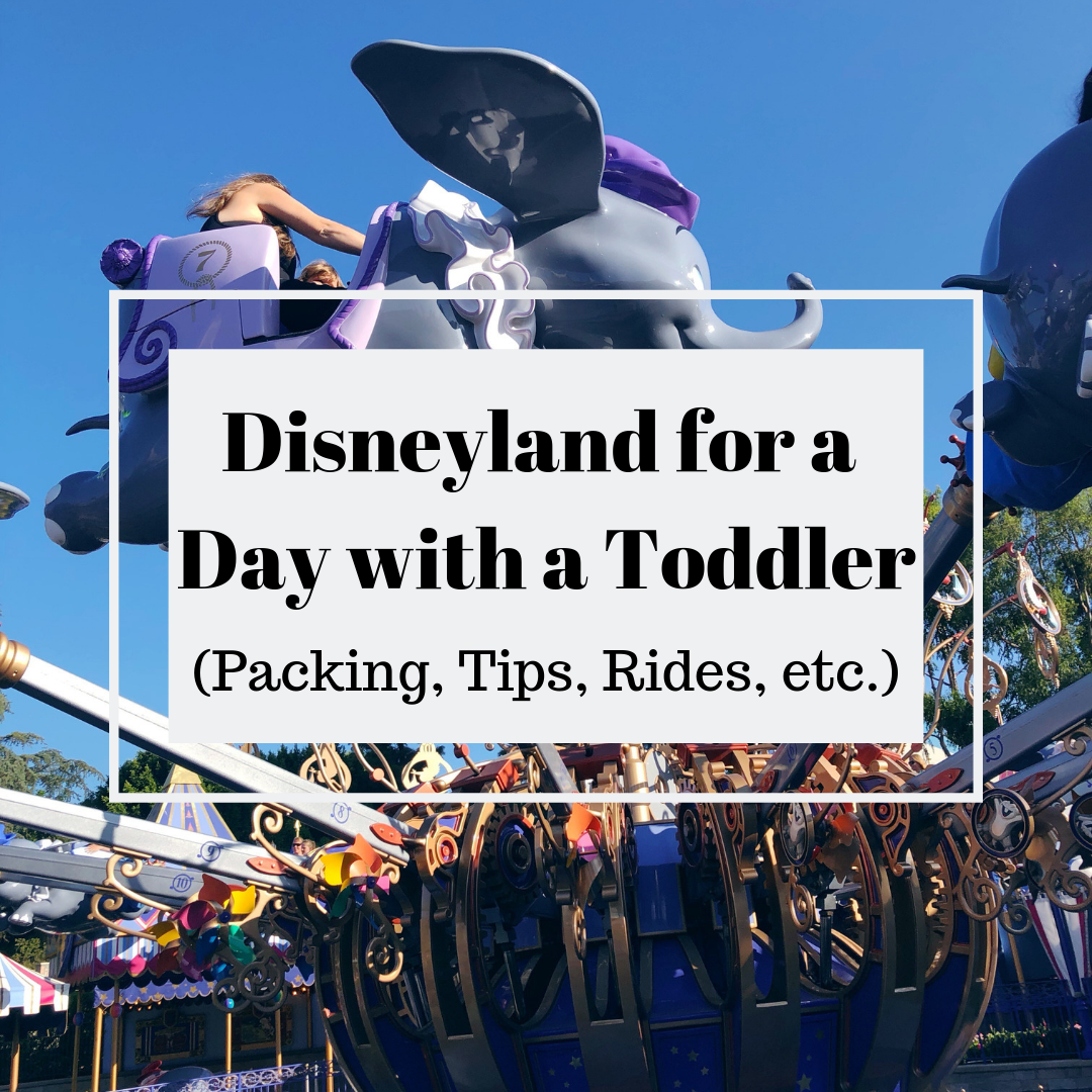 Disneyland for a Day with a Toddler (Packing, Tips, Rides, etc.)