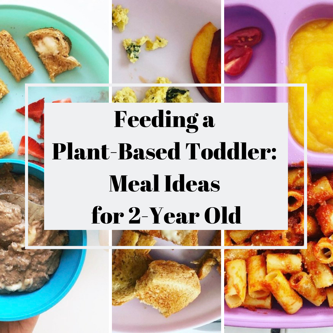 Feeding a Plant-Based Toddler: Meal Ideas for Two Year Old