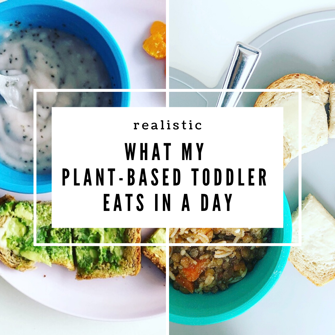 Realistic What My Plant-Based Toddler Eats in a Day