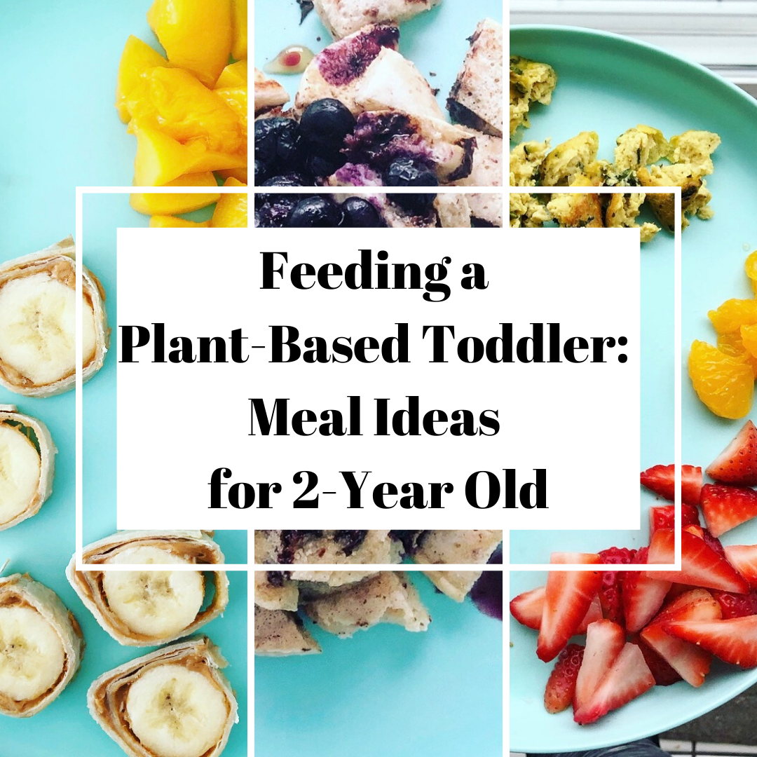 Feeding a Plant-Based Toddler