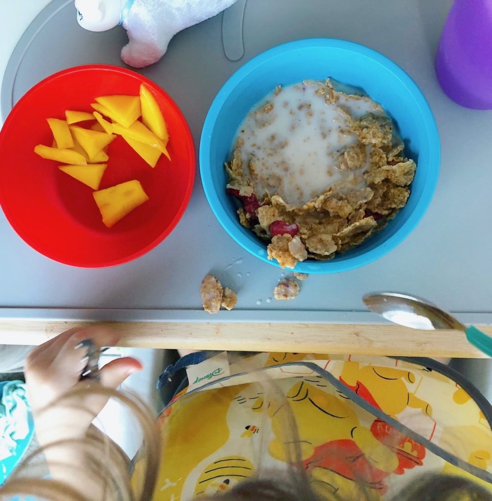 Feeding a Plant-Based Toddler