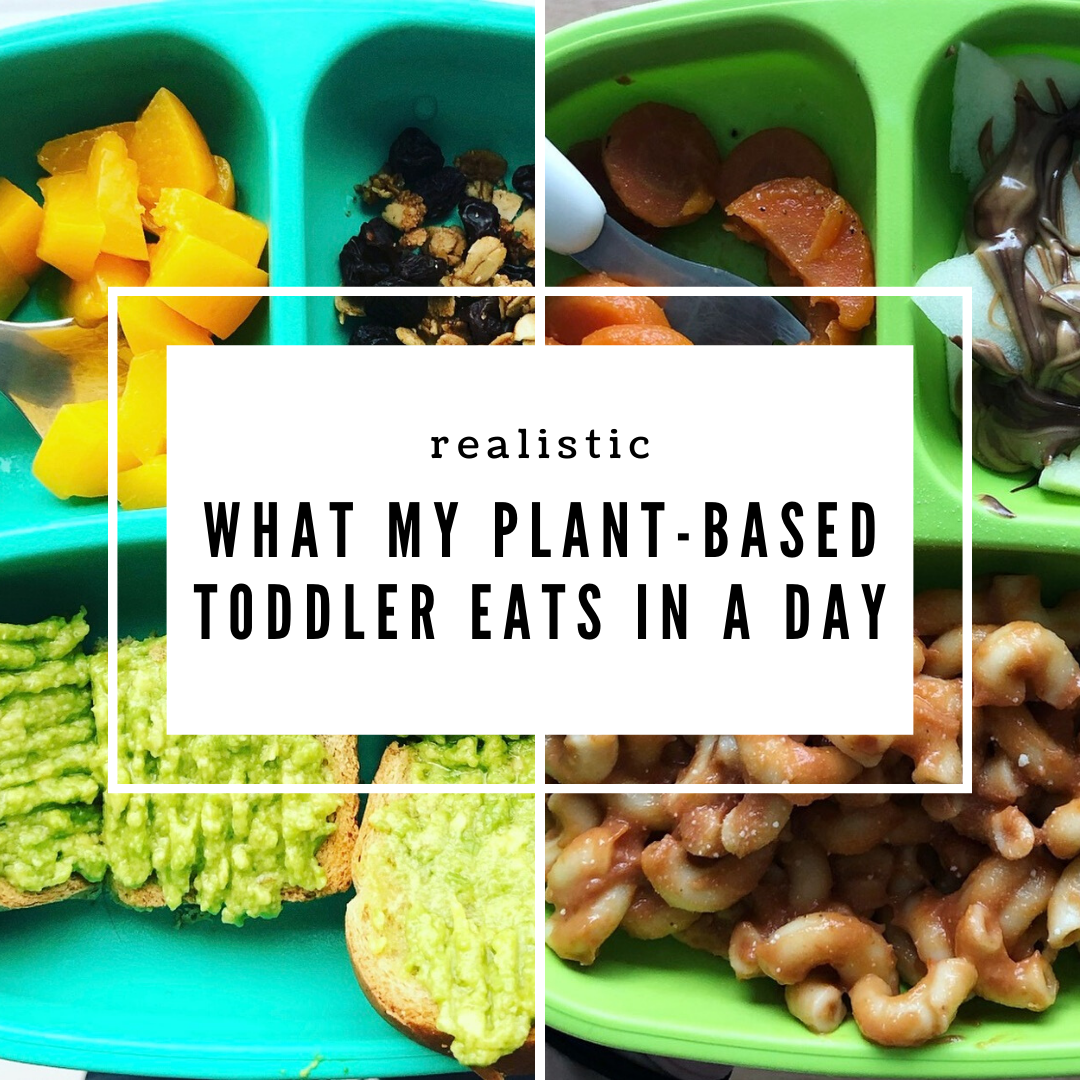 What My Plant-Based Toddler Eats in a Day