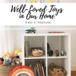 Well-Loved Toys in Our Home (Part 2: Toddler)