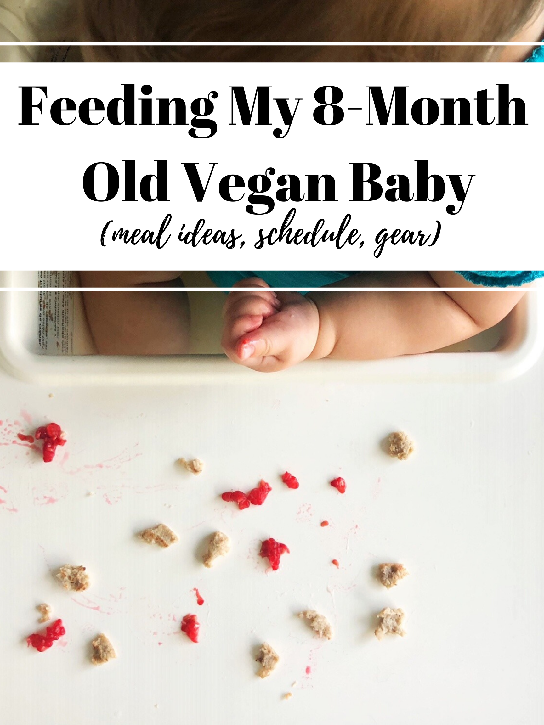 Fiona's Food Update (8-Month Old Vegan Baby)