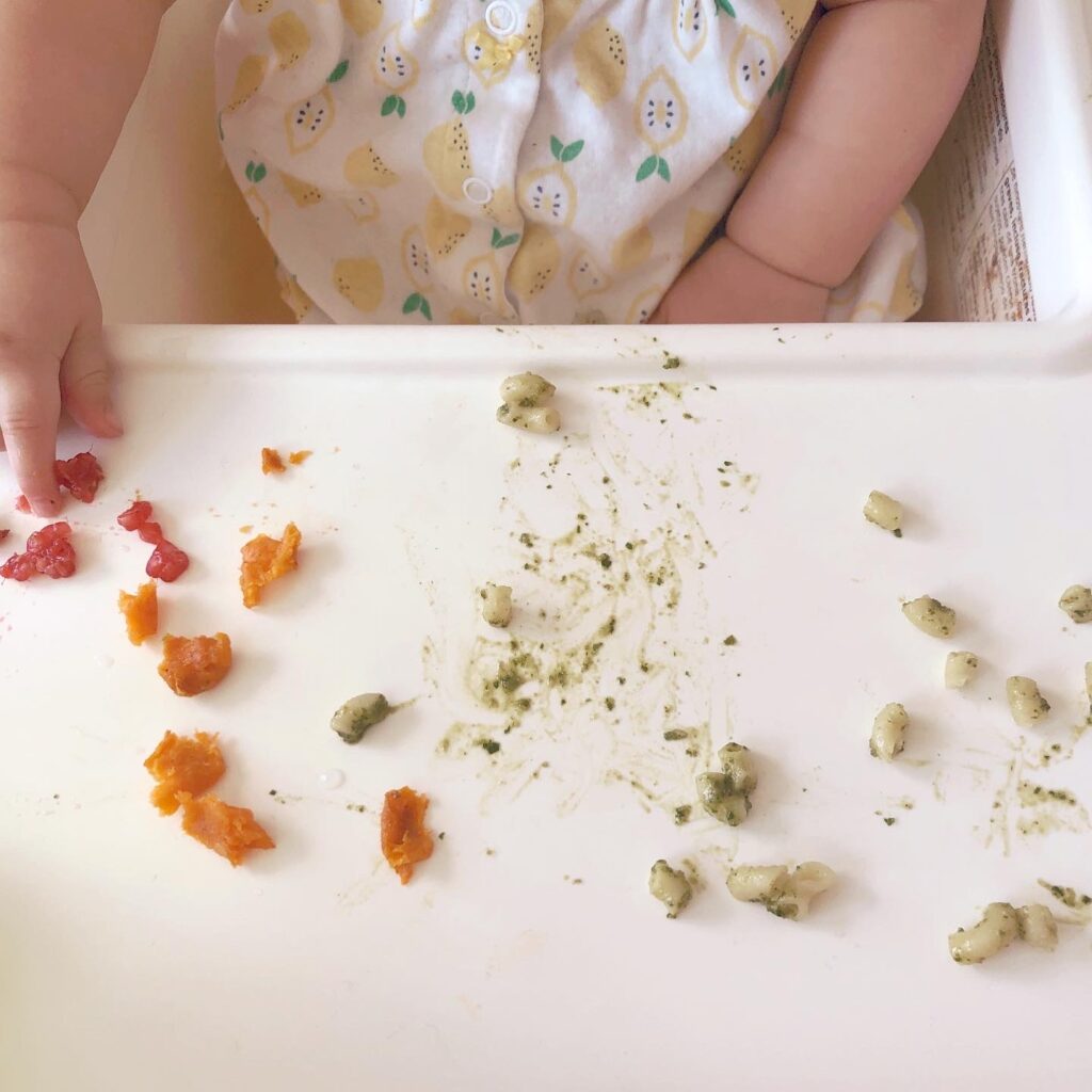 What My Plant-Based Kids Eat (Baby & Toddler)