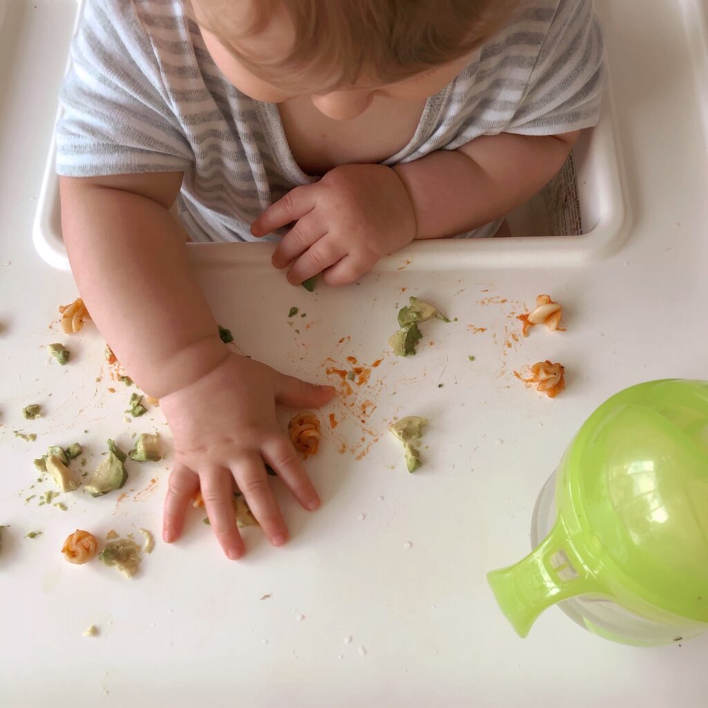 What My Plant-Based Kids Eat (Baby & Toddler)