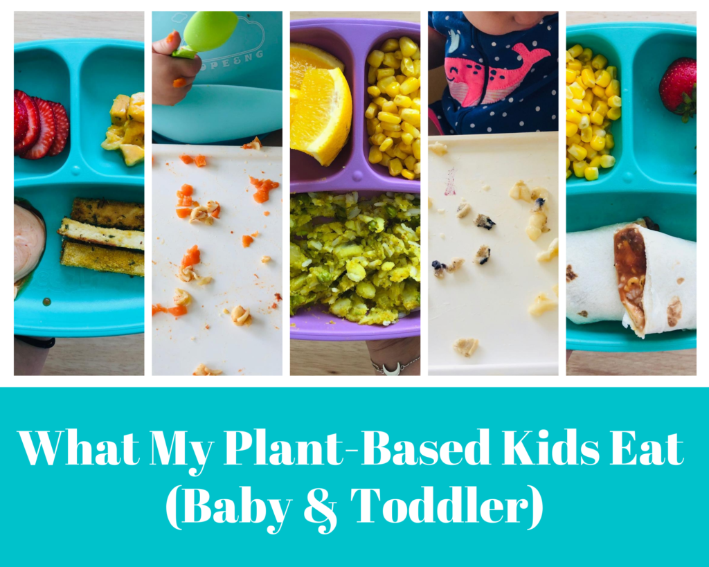 What My Plant-Based Kids Eat (Baby & Toddler)