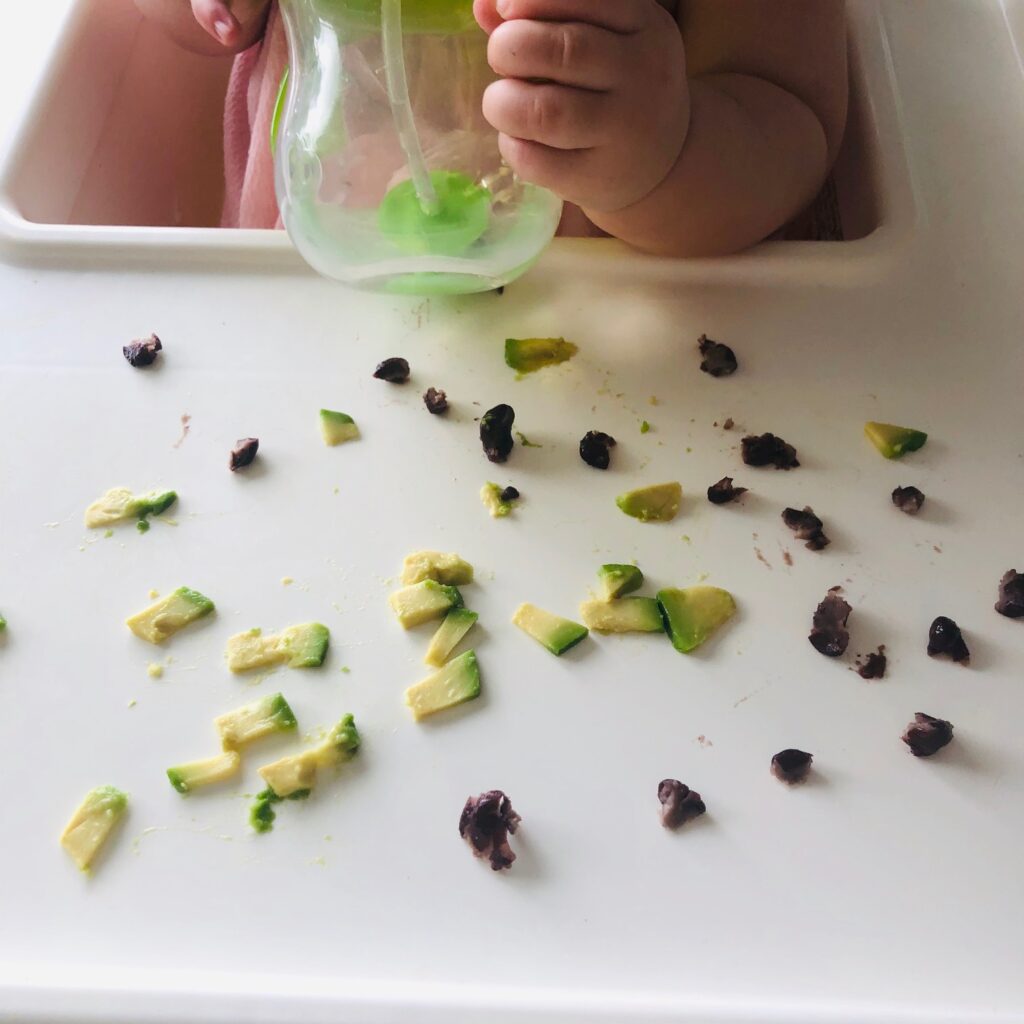 What My Plant-Based Kids Eat (Baby & Toddler)