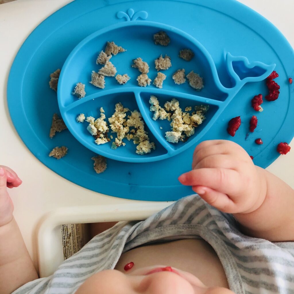 What My Plant-Based Kids Eat (Baby & Toddler)