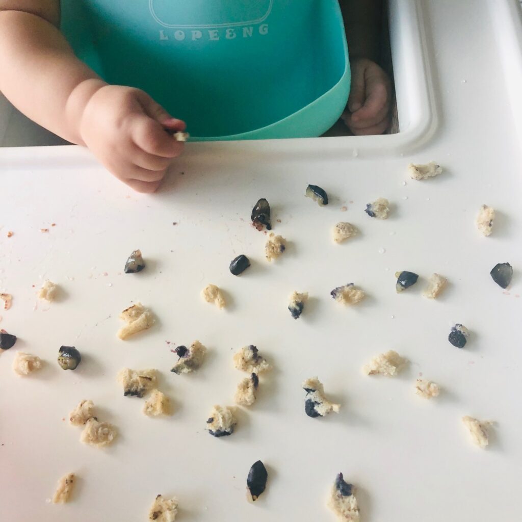 What My Plant-Based Kids Eat (Baby & Toddler)