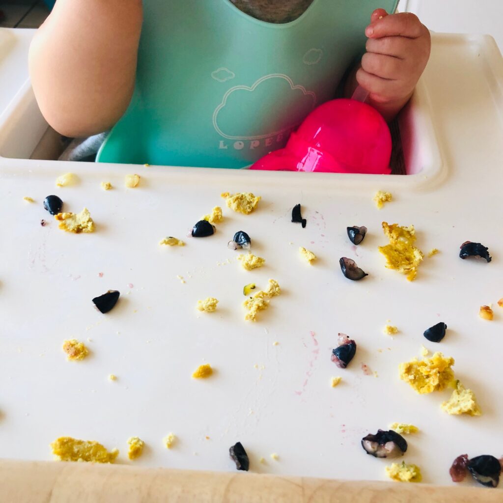 What My Plant-Based Kids Eat (Baby & Toddler)