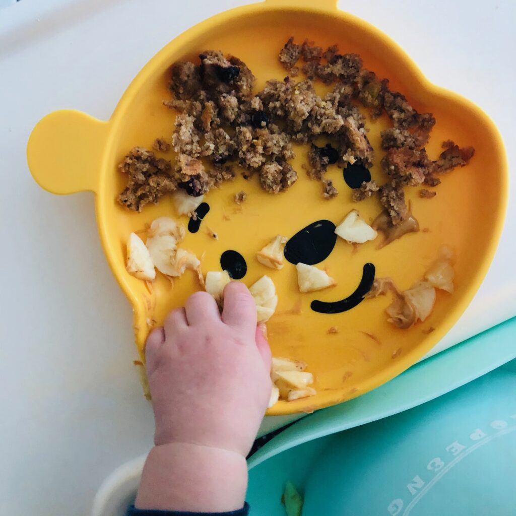 What My Plant-Based Toddlers Eat