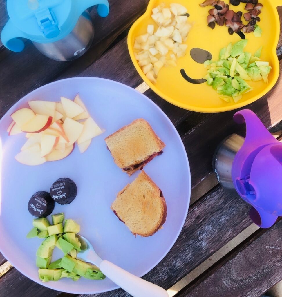 What My Plant-Based Toddlers Eat