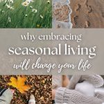 The Benefits of Seasonal Living (Why It Brings More Joy)