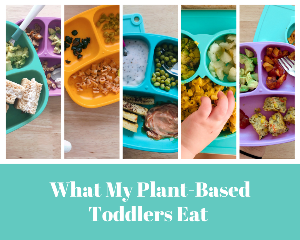 What My Plant-Based Toddlers Eat