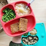 What My Plant-Based Toddlers Eat