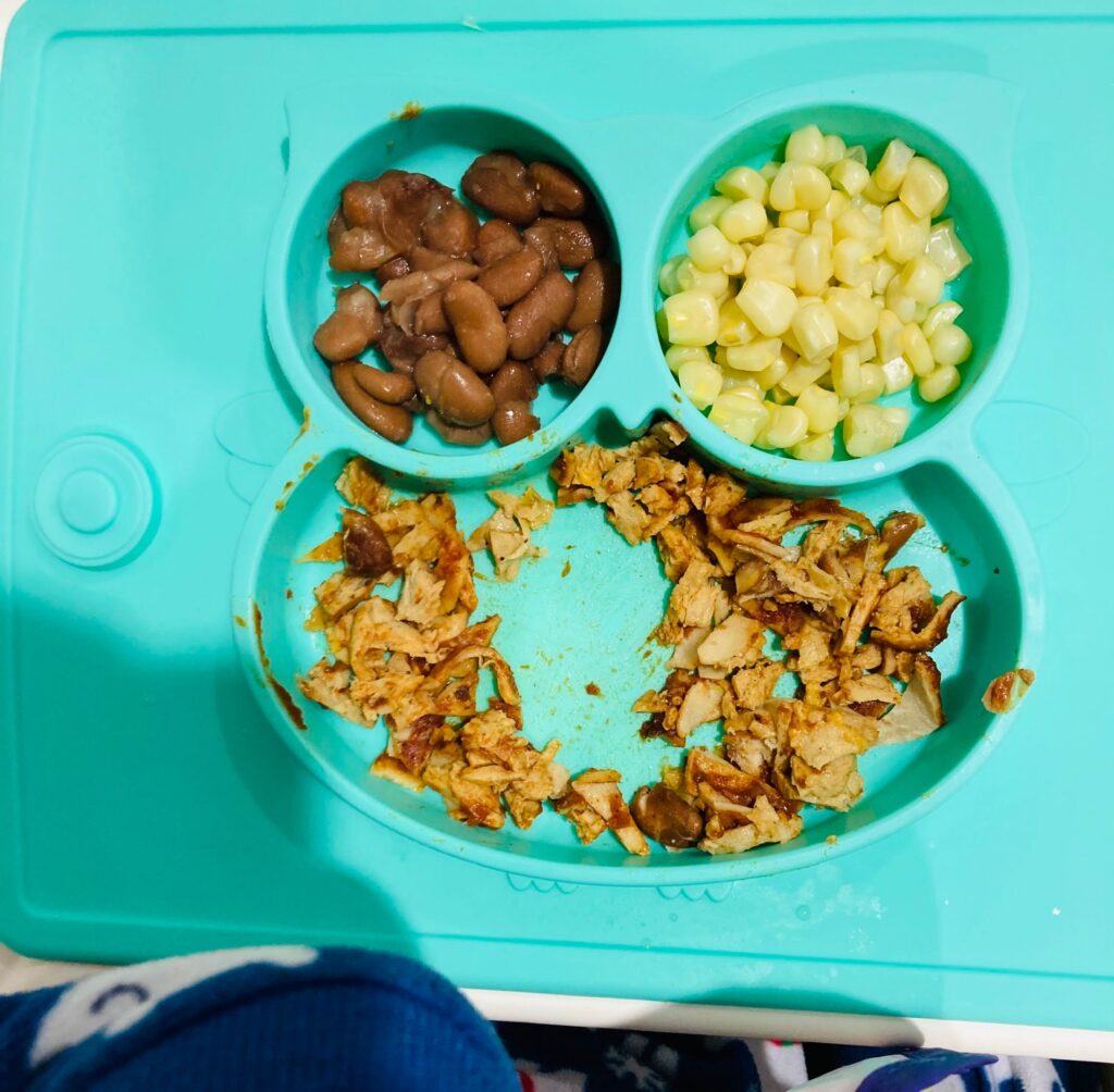 What My Plant-Based Toddlers Eat