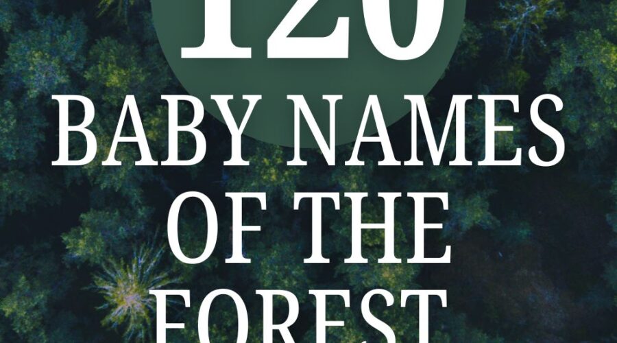 120 forest baby names
