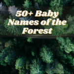 50+ Baby Names of the Forest