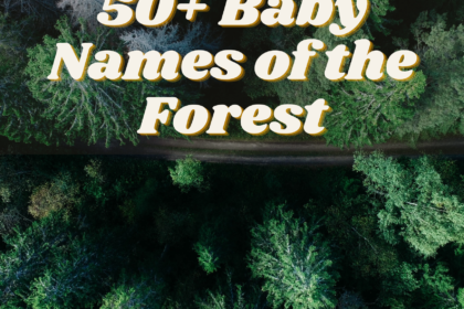 50+ Baby Names of the Forest