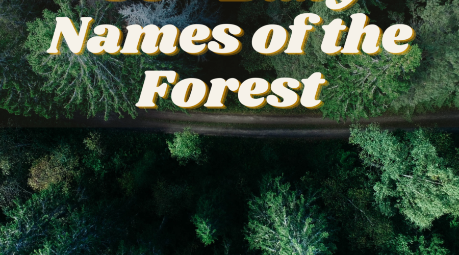 50+ Baby Names of the Forest