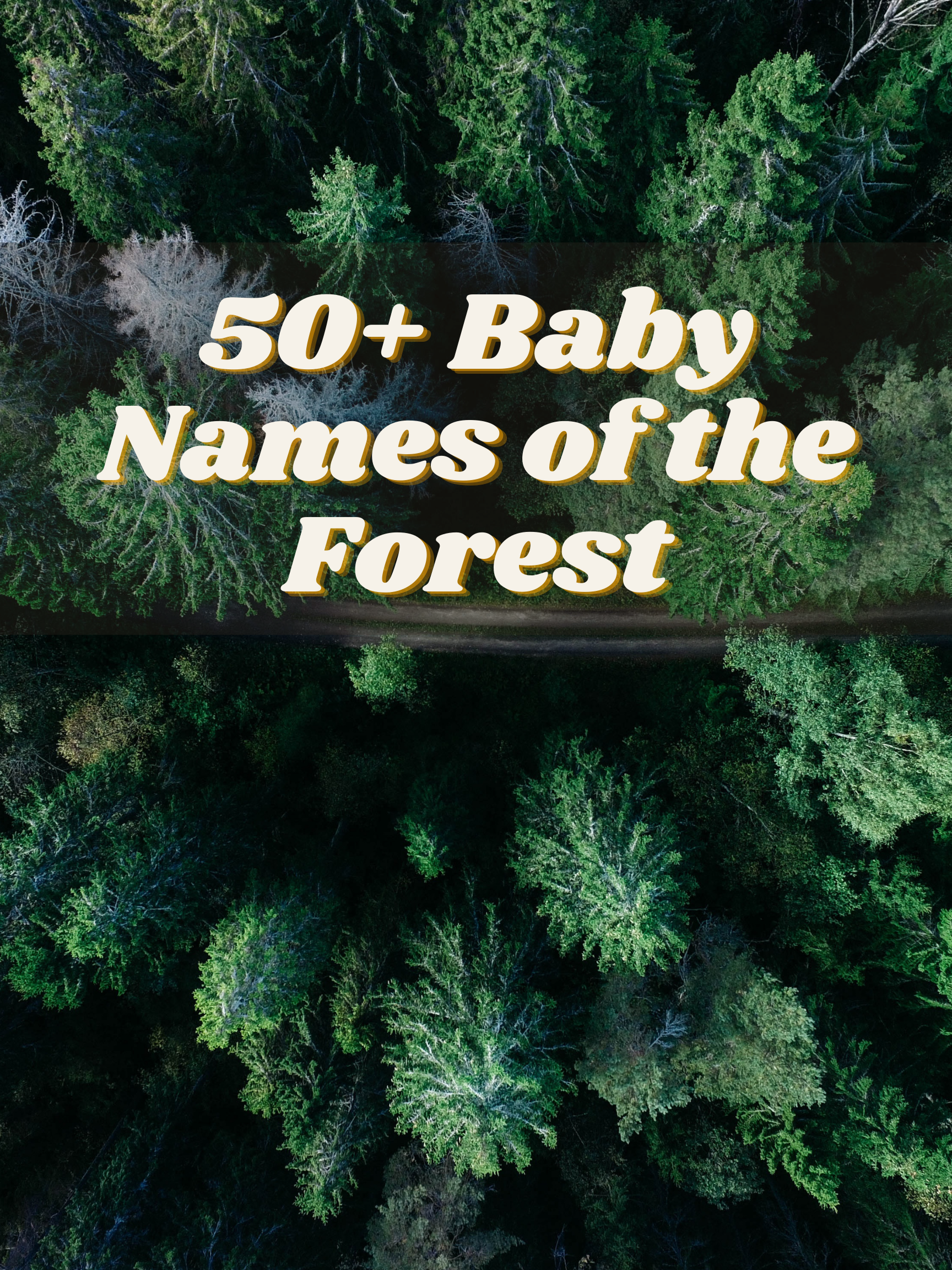 50+ Baby Names of the Forest
