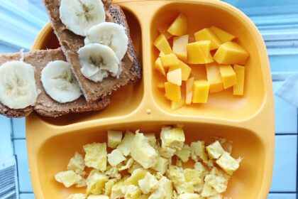 What My Plant-Based Toddlers Eat