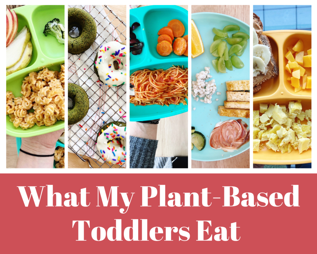 What My Plant-Based Toddlers Eat