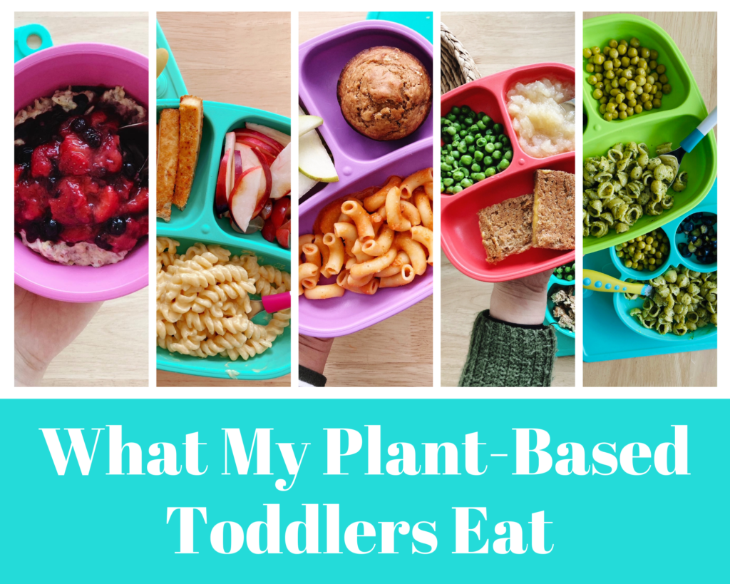 What My Plant-Based Toddlers Eat