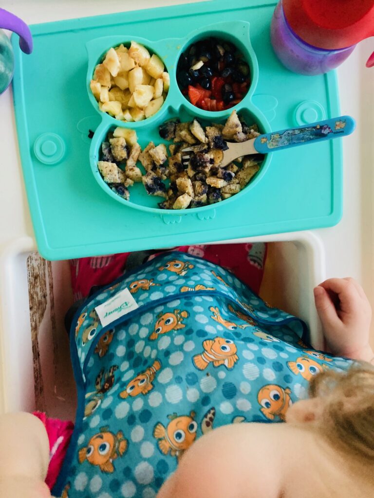 What My Plant-Based Toddlers Eatq