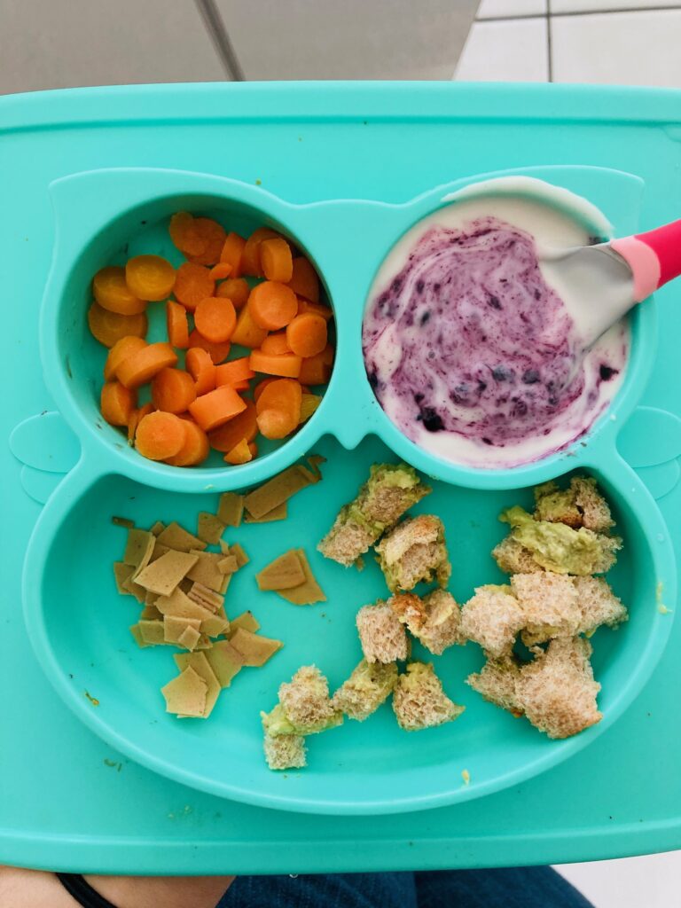 What My Plant-Based Toddlers Eat