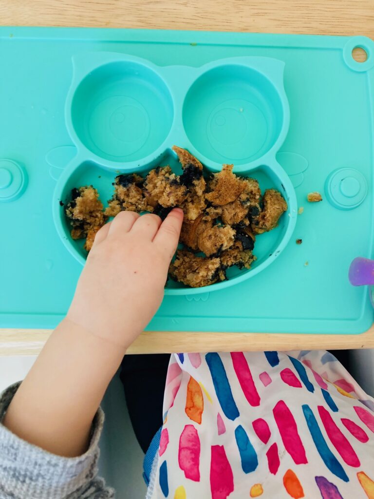 What My Plant-Based Toddlers Eat