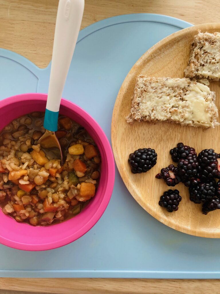 What My Plant-Based Toddlers Eat in a Day